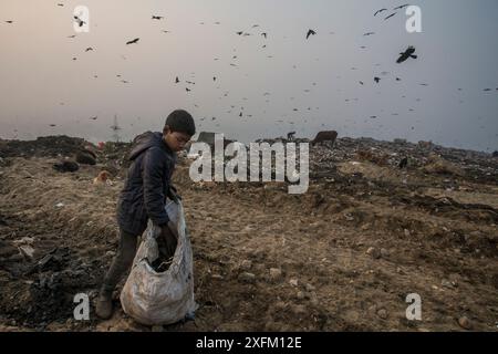 Schwarze Drachen (Milvus migrans) über der Ghazipur Deponie mit Müllpflücker, Delhi, Indien Stockfoto