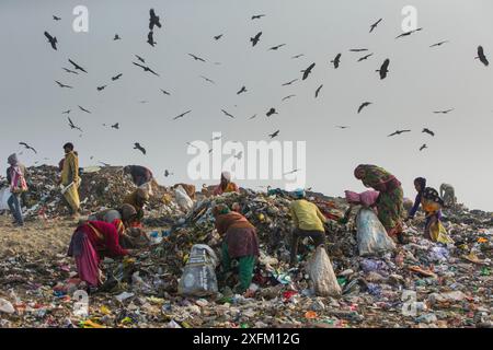 Menschen, die durch den Müll mit Schwarzen Drachen (Milvus migrans) fliegen, Ghazipur Deponie, Delhi, Indien Stockfoto