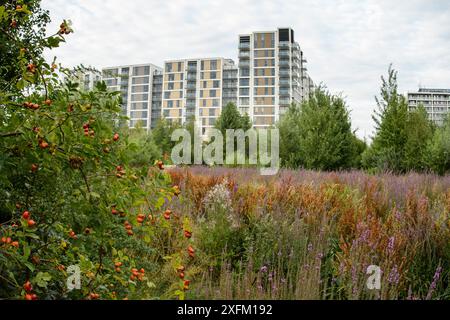 Umweltanreicherung in Wohnsiedlung, East Village Housing at SIT of Olympic Village, Stratford, London, UK 2014 Stockfoto