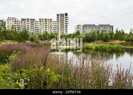 Environmental enrichment in Wohnsiedlung entwickelt, mit Wildtieren Teich und grünen Raum, East Village Gehäuse am Aufstellungsort des olympischen Dorfes, Stratford, Stockfoto