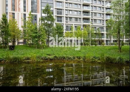 Environmental enrichment in Wohnsiedlung entwickelt, mit Wildtieren Teich und grünen Raum, East Village Gehäuse am Aufstellungsort des olympischen Dorfes, Stratford, Stockfoto