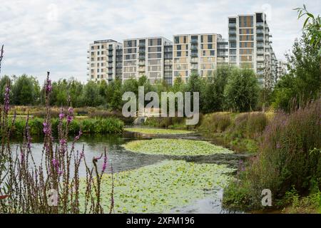 Environmental enrichment in Wohnsiedlung entwickelt, mit Wildtieren Teich und grünen Raum, East Village Gehäuse am Aufstellungsort des olympischen Dorfes, Stratford, Stockfoto