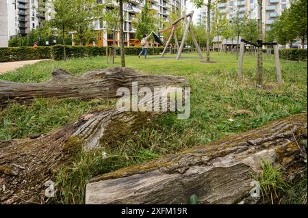 Umweltanreicherung in Wohnsiedlung mit totem Holz für Insekten und Käfer, East Village Housing am Standort von Olympic Village, Stratford, London, UK 2014 Stockfoto