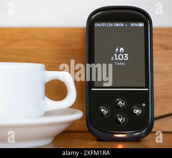 Dual Fuel Home Smart Meter Display Viewer Stockfoto