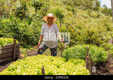 Lebensstil: Eine Farmerin, die stolz vor ihrer Salaternte steht Stockfoto