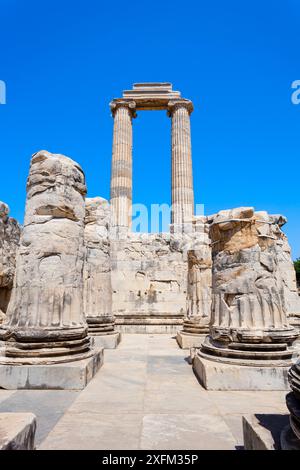 Die Ruinen des Tempels des Apollo in Didyma, der antiken griechischen Stadt. Didyma befindet sich in der modernen Stadt Didim in der Provinz Aydin, Türkei. Stockfoto