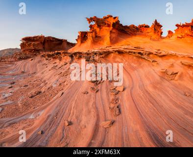 Erodierte, salzhaltige Sandsteinflossen in unglaublichen Formen bilden ein Gebiet, das als „Little Finland“ bekannt ist, Gold Butte National Monument, Nevada, USA. Präsident Barack Obama erklärte das Denkmal am 28. Dezember 2016. Stockfoto