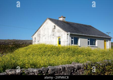 Traditionelles irisches Ferienhaus im Sommer auf Irishmore, Insel Aran, Irland Stockfoto