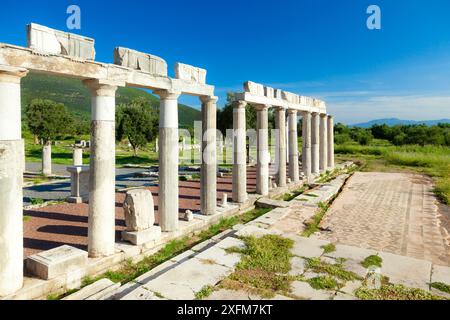 Dorische Säulen im antiken Stadion von Messene (oder Messini), einer antiken griechischen Stadt, die 369 v. Chr. umgebaut wurde. Die bedeutenden Ruinen sind eine große Attraktion. Stockfoto