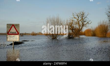 Stark überflutet und geschlossenen Straße auf Curry Moor zwischen Nord Curry und East Lyng nach Wochen der schwere Regen, Somerset, Großbritannien, Februar 2014. Stockfoto