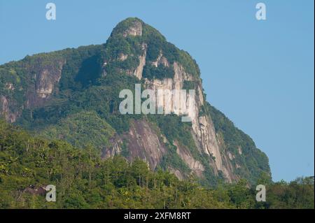 Morne Blanc und unberührten tropischen Regenwald, Nationalpark Morne Seychelles, Mahe Island, Republik Seychellen Stockfoto