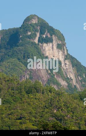 Morne Blanc und unberührten tropischen Regenwald, Nationalpark Morne Seychelles, Mahe Island, Republik Seychellen Stockfoto