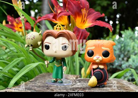 Funko Pop Actionfiguren der Prinzessin Fiona und Puss in Boots aus dem beliebten Zeichentrickfilm Shrek. Märchenwald, Baumstumpf, orange Blumen, fabelhaft. Stockfoto