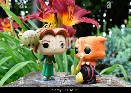 Funko Pop Actionfiguren der Prinzessin Fiona und Puss in Boots aus dem beliebten Zeichentrickfilm Shrek. Märchenwald, Baumstumpf, orange Blumen, fabelhaft. Stockfoto