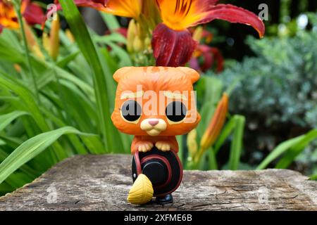 Funko Pop Actionfigur von Puss in Stiefeln mit gefiedertem Hut aus dem Zeichentrickfilm Shrek. Märchenwald, Baumstumpf, orange Blumen, fabelhafter Charakter. Stockfoto