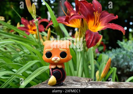 Funko Pop Actionfigur von Puss in Stiefeln mit gefiedertem Hut aus dem Zeichentrickfilm Shrek. Märchenwald, Baumstumpf, orange Blumen, fabelhafter Charakter. Stockfoto