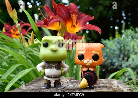 Funko Pop Actionfiguren von Oger Shrek und Puss in Boots aus populärem Zeichentrickfilm. Märchenwald, Baumstumpf, orange Blumen, fabelhafte Charaktere. Stockfoto