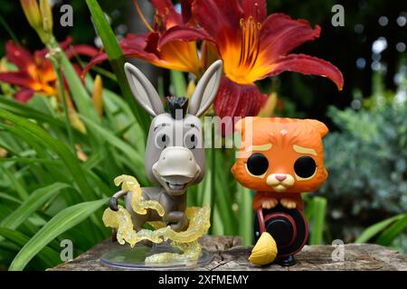 Funko Pop Actionfiguren von Esel und Puss in Stiefeln aus dem beliebten Zeichentrickfilm Shrek. Märchenwald, Baumstumpf, orange Blumen, fabelhafte Charaktere. Stockfoto