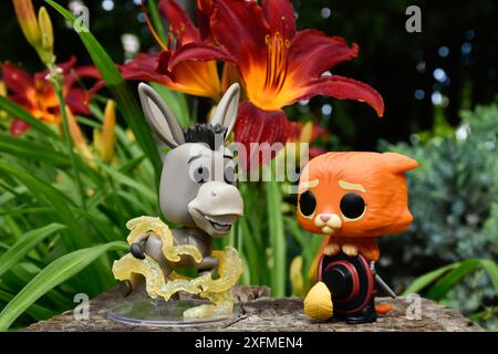 Funko Pop Actionfiguren von Esel und Puss in Stiefeln aus dem beliebten Zeichentrickfilm Shrek. Märchenwald, Baumstumpf, orange Blumen, fabelhafte Charaktere. Stockfoto