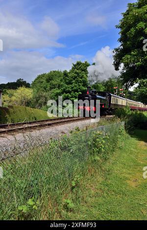 Koffer-Tank der GWR-Klasse 6400 Nr. 6412 verlässt Buckfastleigh auf der South Devon Railway mit einem Zug nach Totnes. Stockfoto