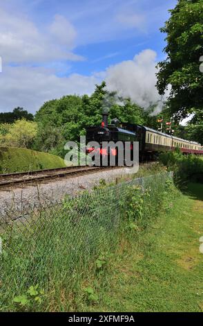 Koffer-Tank der GWR-Klasse 6400 Nr. 6412 verlässt Buckfastleigh auf der South Devon Railway mit einem Zug nach Totnes. Stockfoto