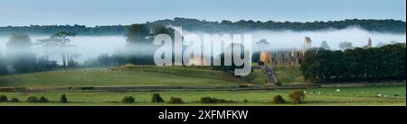 Panorama der alten Sherborne Castle im Nebel im Morgengrauen, Dorset, England, UK, August 2014. Stockfoto