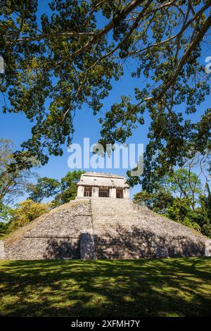 Pyramide von El Conde, Maya-Ruinen von Palenque, prähispanische Stadt und Nationalpark von Palenque, UNESCO-Weltkulturerbe, Chiapas, Mexiko, März 2017. Stockfoto