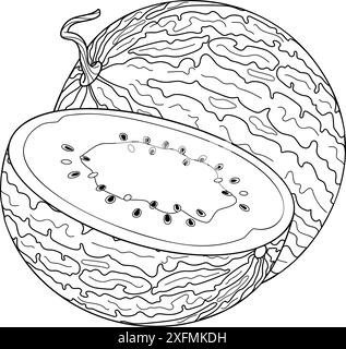 Reife ganze und halbe Wassermelonenlinie. Frische Wassermelonenscheibe. Handgezeichnetes Doodle-Stil Ausmalblatt, geschnittenes Obst Bio natürliches Dessert süße saftige Sommerfrüchte. Vektorabbildung Stock Vektor