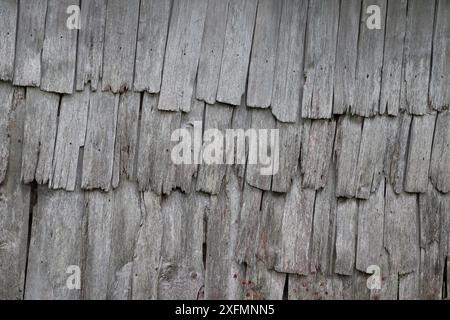 Alte Holzschindeln an der Wand eines Bauernhauses im Rauristal, Österreich. Stockfoto