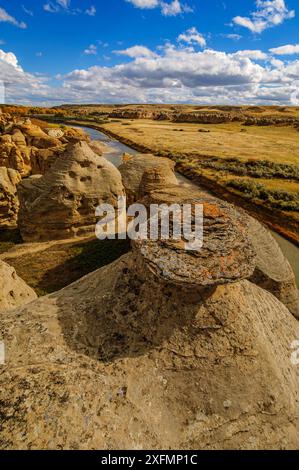 Erodierte Sandsteinformationen Hoodoo entlang den Milk River in Writing-On-Stone Provincial Park, Alberta Stockfoto