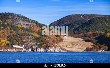 Norwegische Herbstlandschaft mit Holzhäusern und Bäumen an einer felsigen Küste Stockfoto