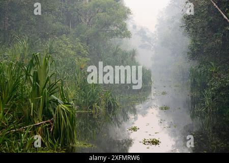 Sekonyer River mit Rauch in der Luft von einem illegalen Waldbrand, Tanjung Puting National Park, Indonesien, Central Borneo Province, Central Kalimantan Stockfoto