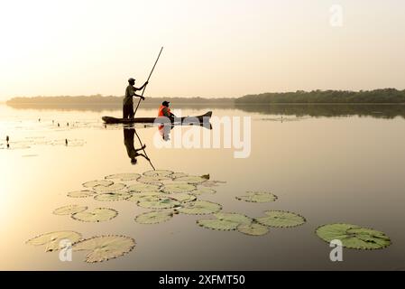 Park Ranger im Boot, Lagunen des Naturparks Cufada ( Lagoas de Cufada), Guinea Bissau. Februar 2015 Stockfoto