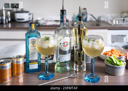 Cocktailmischgeräte und eine Bombay Saphir-, Martini Bianco- und St. Germain-Likörflasche mit Tonic- und Minzzweig in Markengläsern. UK Stockfoto