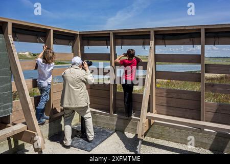 Großvater mit zwei Kindern, die Vögel aus der Haut beobachten, im Naturpark Zwin, Vogelschutzgebiet Knokke-Heist, Westflandern, Belgien, Juli 2016 Stockfoto