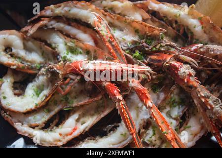 Mahlzeit von Langusten/Kaisergranat (Nephrops norvegicus) in einem Restaurant auf der Insel Arran, gefangen in Lamlash Bay, South Arran Marine Protected Area, Schottland, Großbritannien, August 2016. Stockfoto