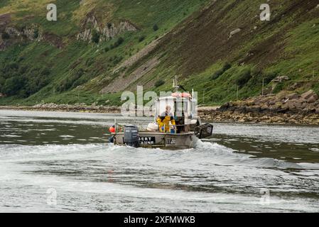 Fisherman Deploying Hummertöpfe from Boat, Lamlash Bay, Isle of Arran, South Arran Marine Protected Area, Schottland, Großbritannien, August 2016. Stockfoto