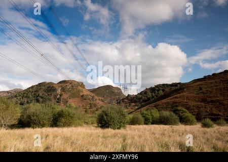 Stromleitungen und Pylonen, die Strom über Berglandschaften aus dem Wasserkraftwerk Maentwrog, Wales, Großbritannien, im Oktober 2016 transportieren. Stockfoto