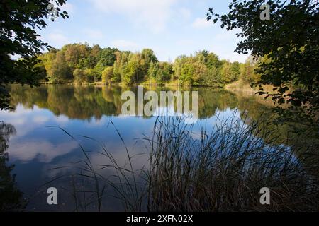 Lake at Swanwick Lakes, Hampshire und Isle of Wight Wildlife Trust Reserve, Swanwick Hampshire, England, Großbritannien, Oktober. Stockfoto