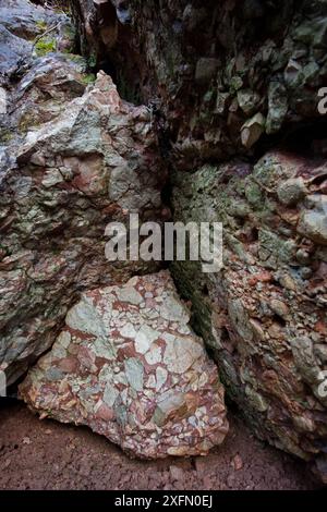 Leesburger Kalksteinkonglomerat, Sedimentgestein, Frederick County, Maryland, USA. Januar. Stockfoto