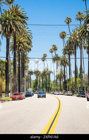 Beverly Hills, KALIFORNIEN - 29. Juni 2024: Straßenszene entlang Beverly Hills, Kalifornien mit Palmen. Stockfoto