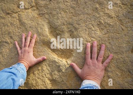 Vergleich zwischen einer menschlichen Hand und einer Fossilienspur oder Ichnit, Tridactyl-Fußabdruck, der auf dem Felsen fossiliert ist Stockfoto