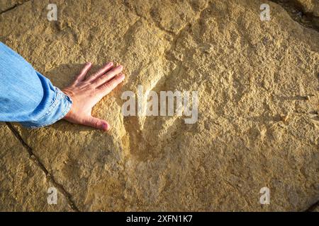 Vergleich zwischen einer menschlichen Hand und einer Fossilienspur oder Ichnit, Tridactyl-Fußabdruck, der auf dem Felsen fossiliert ist Stockfoto