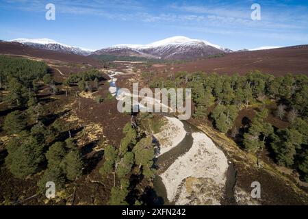 Kiefern neben Quoich Water mit Ohr-Chor Sneachdach, Coire Gorm und Carn Allt na Beinne im Hintergrund. Glen Quoich, Mar Lodge Estate, Deeside, Cairngorms National Park, Schottland, Großbritannien, März 2017. Stockfoto