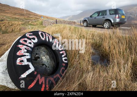 Schild Warnung vor Lämmern/Schafen auf der Straße, Sutherland, Schottland, Großbritannien Stockfoto