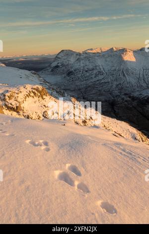 Hasenwanderwege im Schnee am Bodach, mit Blick nach Südosten nach Stob nan Cabar und Buachaille Etive Beag, Glen Coe, Lochaber, Schottland, Großbritannien, November Stockfoto