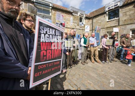 Menschen protestieren gegen die Verfolgung von Raubvögeln in Schottland. Henne Harrier Day, Loch Leven, Kinross, Schottland, Vereinigtes Königreich, August 2016. Stockfoto