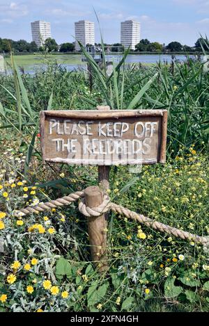 Wilde Blumen und Schilfbeete umgeben ein Schild in den Woodberry Wetlands mit den Turmblöcken des Woodberry Down Estate in der Ferne. Das ehemalige Stoke Newington East Reservoir in Hackney ist im Besitz von Thames Water und wird vom London Wildlife Trust verwaltet. Es bietet eine Oase für Wildtiere und Menschen in diesem dicht besiedelten Teil Londons. Hackney, London, Großbritannien, August 2016. Stockfoto