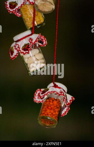 Kleine Glasgläser, die vertikal hängen, jedes mit verschiedenfarbigen Körnern oder Samen gefüllt, verziert mit roten und weißen Stoffbezügen und roten Fäden. Stockfoto