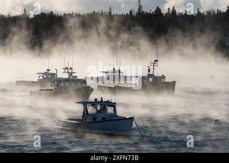 Meeresnebel, der von der Wasseroberfläche um Hummerfischboote aufsteigt, Southwest Harbor, Acadia National Park, Maine, USA, Dezember 2016. Stockfoto